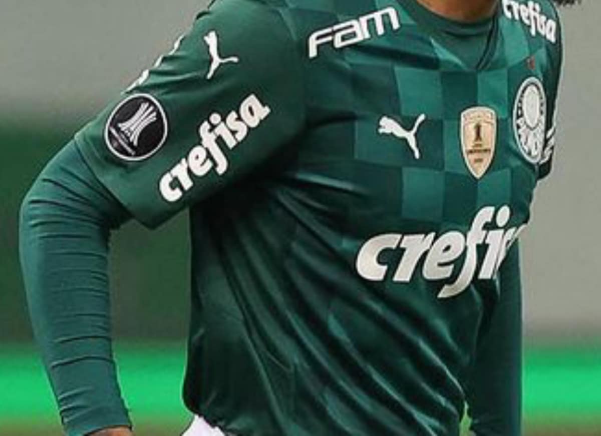 Palmeiras