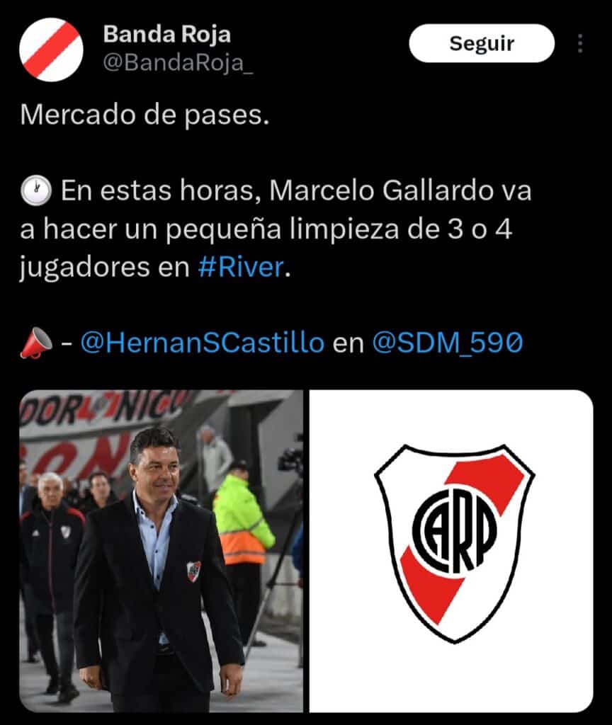 Marcelo Gallardo 