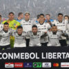 Colo Colo