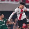River Palmeiras