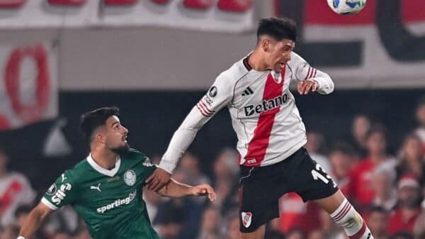 River Palmeiras