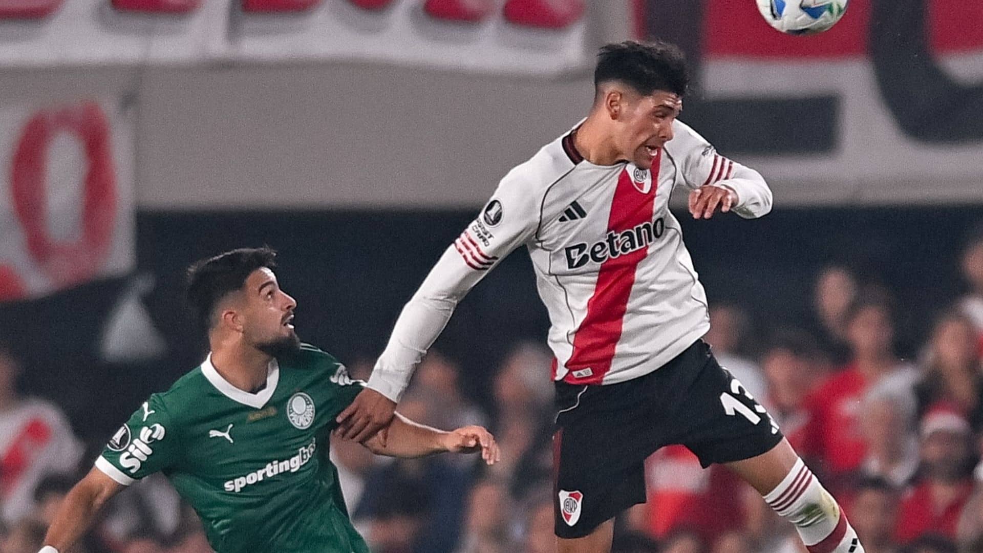 River Palmeiras
