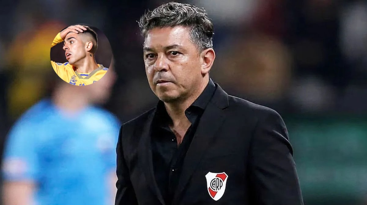 Marcelo Gallardo