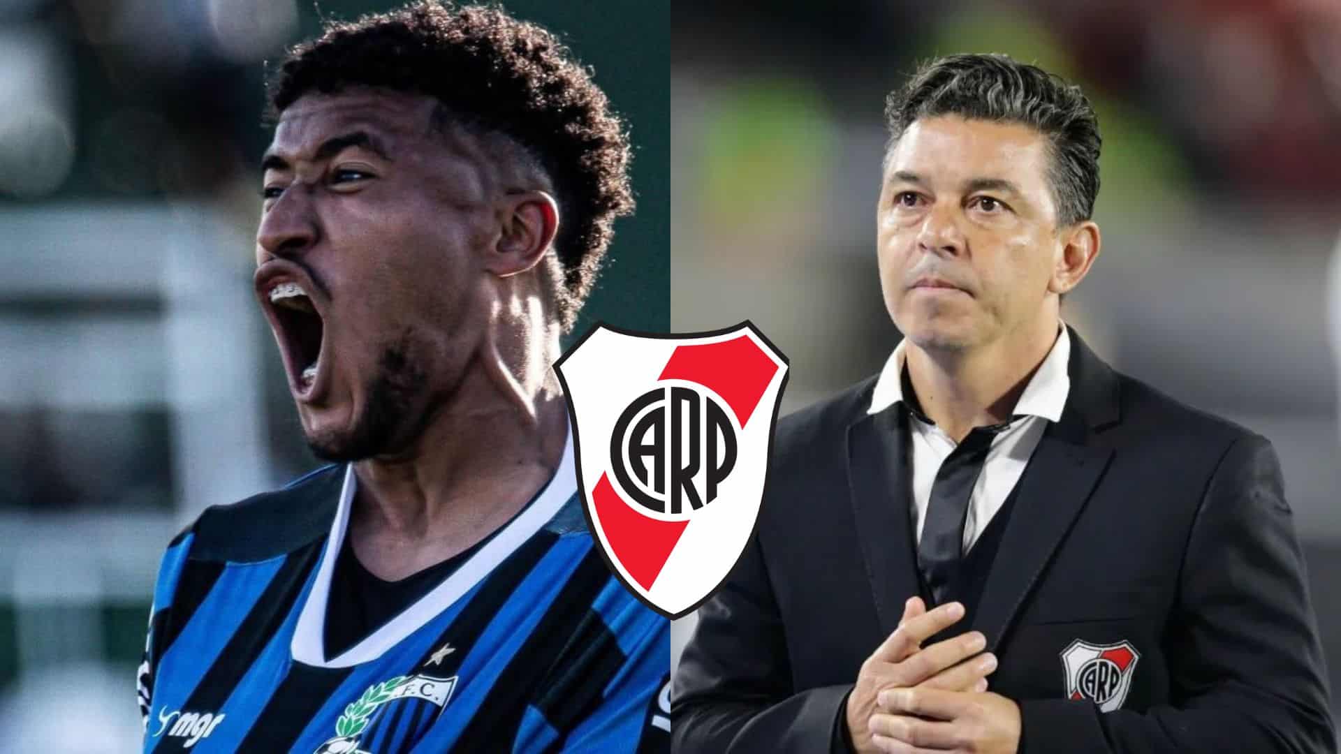 Marcelo Gallardo