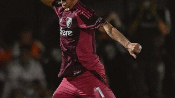 Rojas