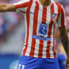 River planea reducir el plantel para liberar fondos: "20 Millones"