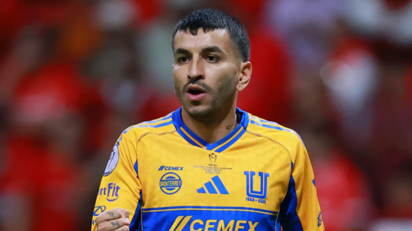 Ángel Correa