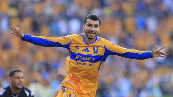 Ángel Correa