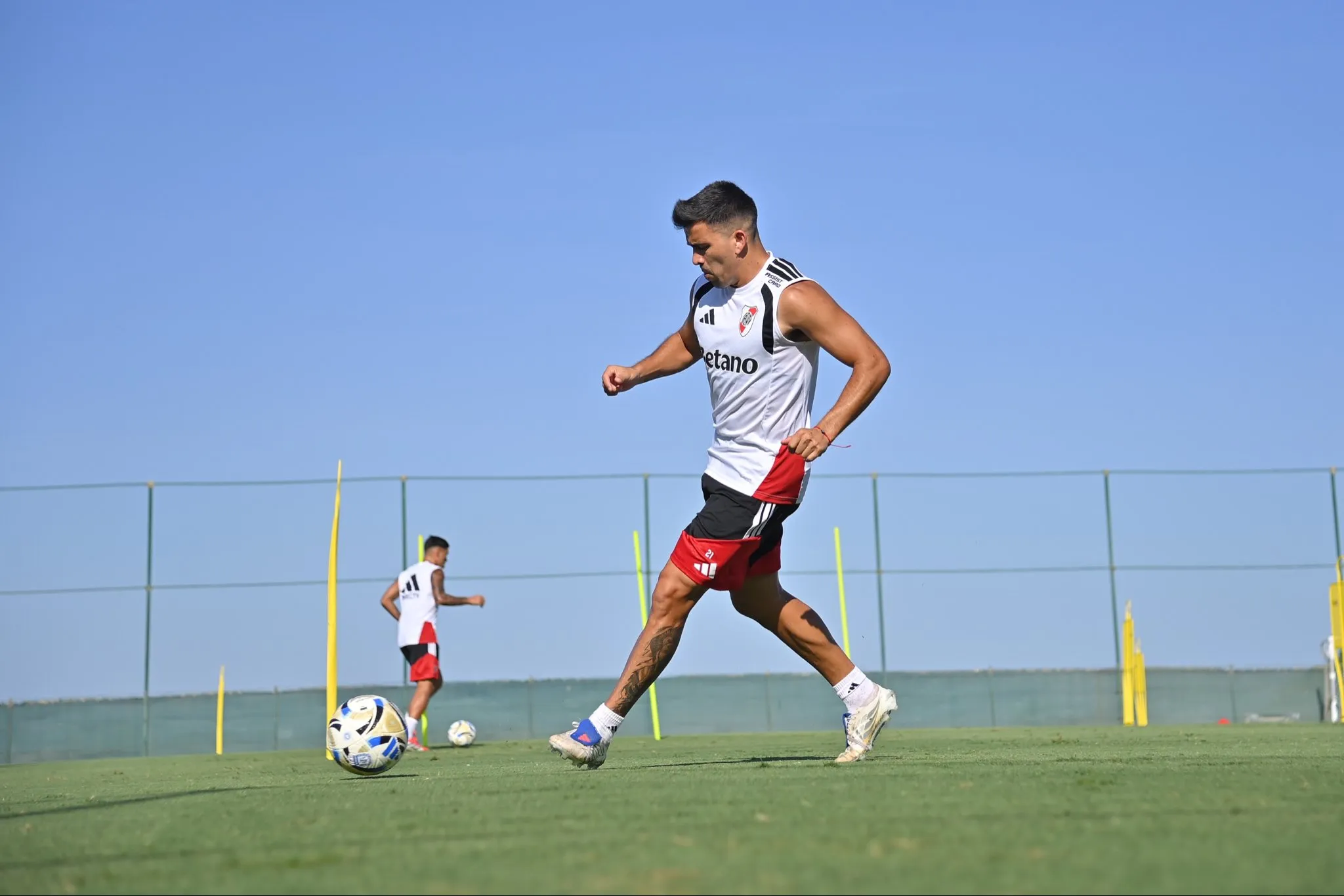 Aldosivi