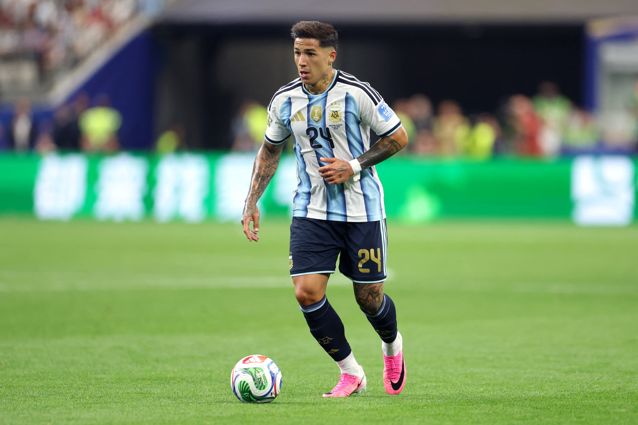 Enzo Fernandez